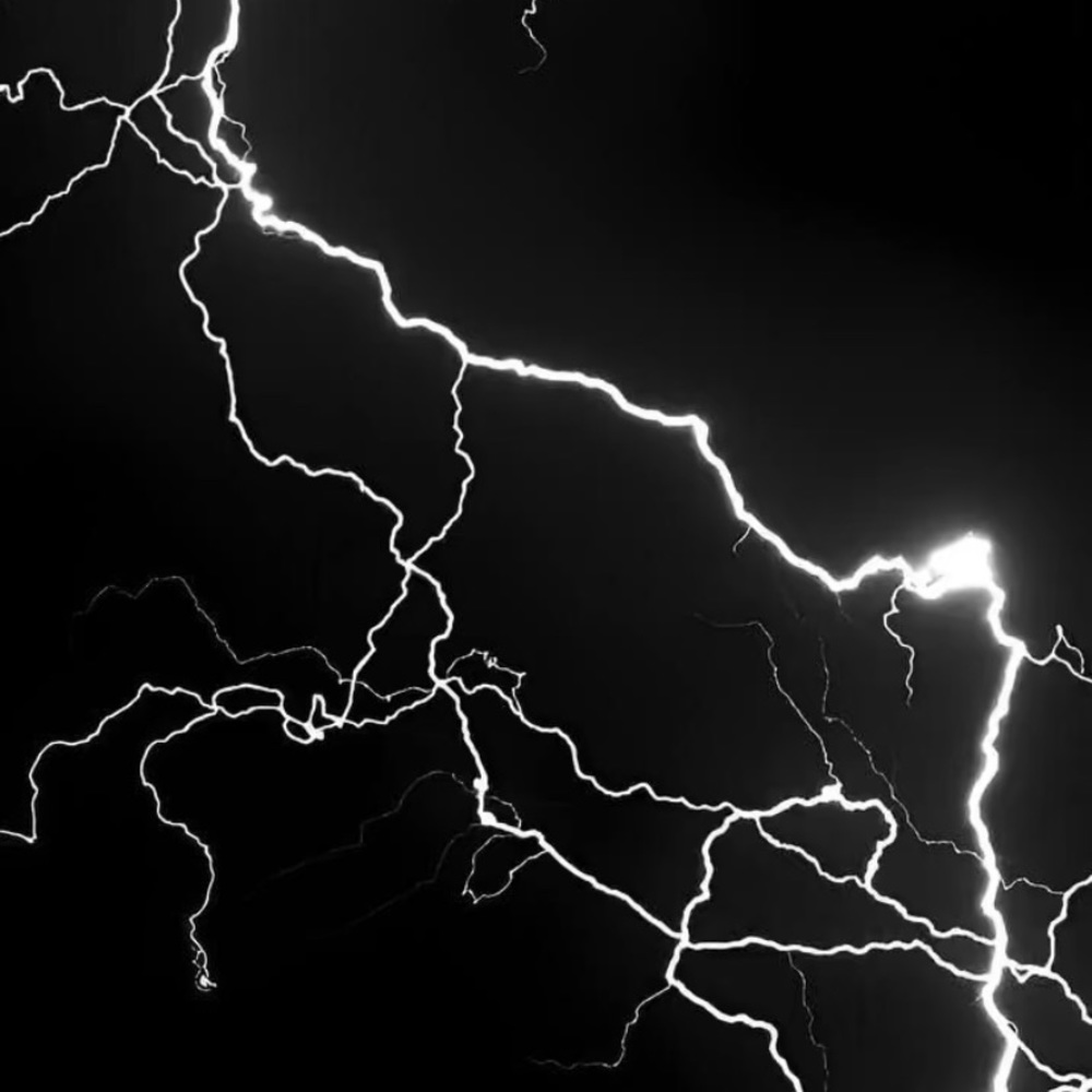 Meet your Posher, Bob